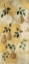 Picture of GOLDEN PEARS