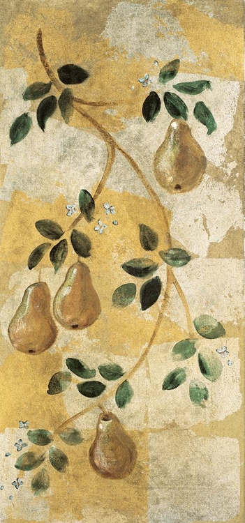 Picture of GOLDEN PEARS