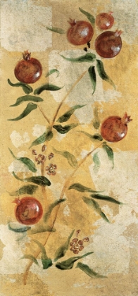 Picture of GOLDEN POMEGRANITES