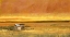 Picture of TERRA FIRMA III