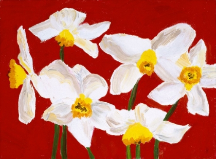 Picture of DAFFODILS