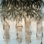 Picture of CANOPY 1
