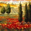 Picture of TUSCANY IN BLOOM III