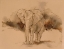 Picture of AN ELEPHANT ANGLE