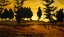 Picture of INDIAN SUMMER