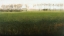 Picture of TREELINE