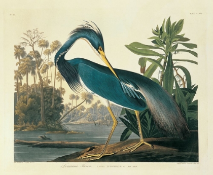 Picture of LOUISIANA HERON PLATE 217