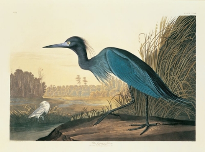 Picture of BLUE CRANE OR HERON PLATE 307