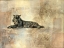 Picture of TIGER PROFILE