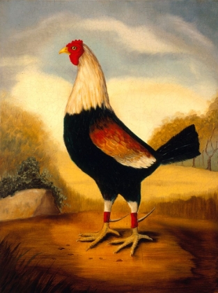 Picture of FIGHTING COCKS 1 ALEXANDRA CHURCHILL