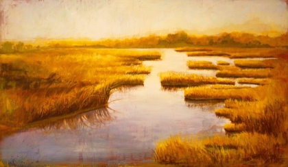 Picture of WETLANDS