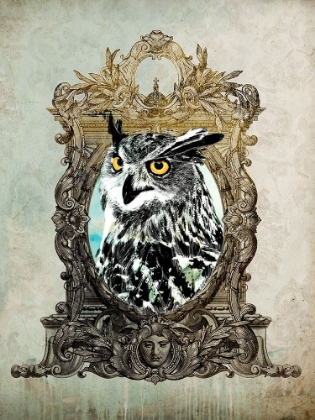 Picture of PORTRAIT OF MR. OWL