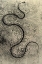 Picture of SNAKE AND LACE