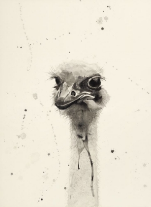 Picture of WATERCOLOR OSTRICH 2