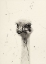 Picture of WATERCOLOR OSTRICH 2