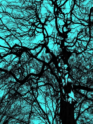 Picture of INFARED TREE 11