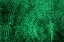 Picture of TREE RINGS 8