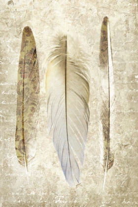 Picture of VINTAGE FEATHERS