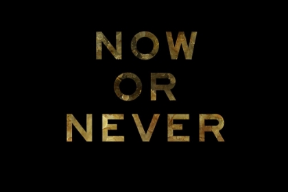 Picture of NOW OR NEVER