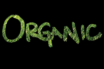 Picture of ORGANIC 1