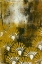 Picture of DECO 4