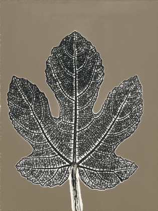 Picture of LEAF C2