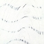 Picture of BLACK AND WHITE C