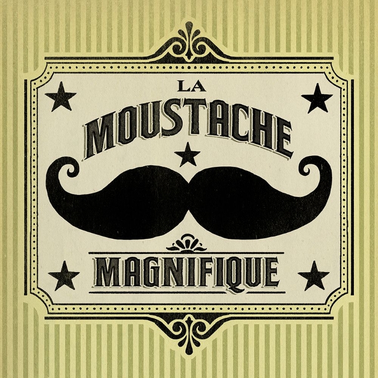 Picture of MOUSTACHE MAGNIFIQUE