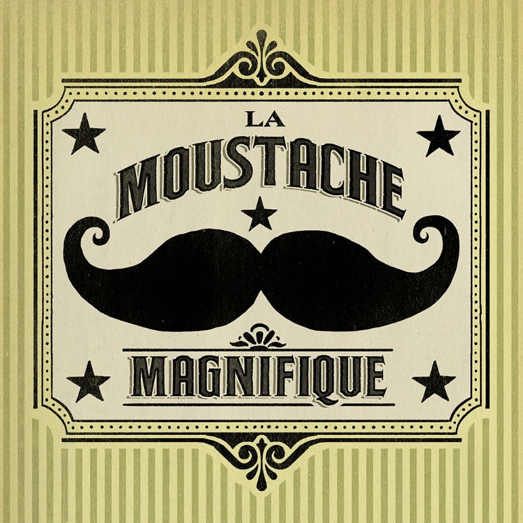 Picture of MOUSTACHE MAGNIFIQUE