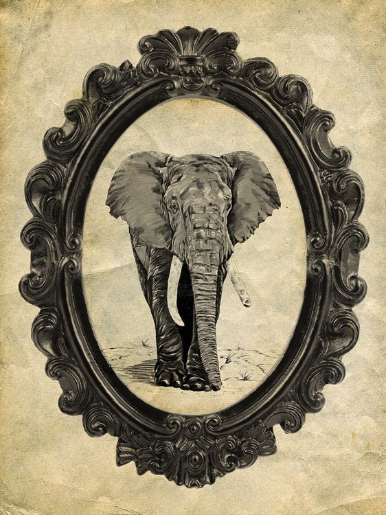 Picture of FRAMED ELEPHANT