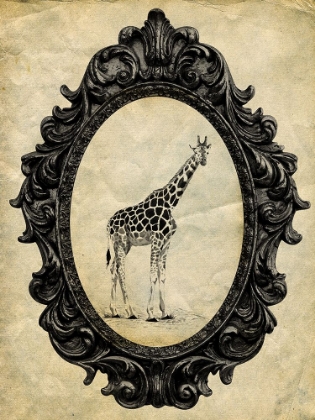 Picture of FRAMED GIRAFFE