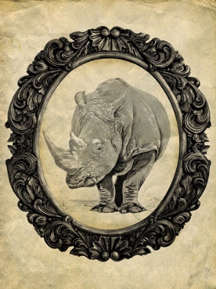 Picture of FRAMED RHINOCEROS