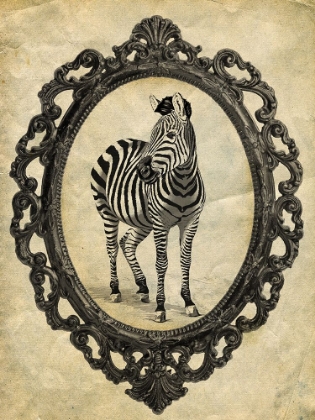 Picture of FRAMED ZEBRA