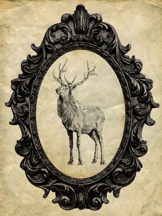 Picture of FRAMED ELK 36X27