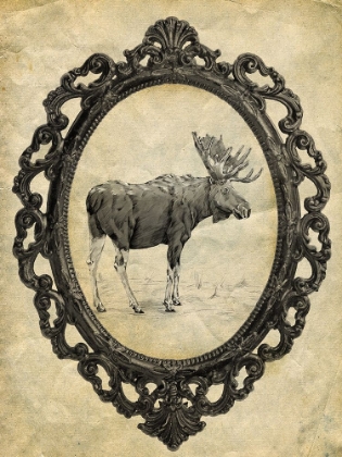 Picture of FRAMED MOOSE