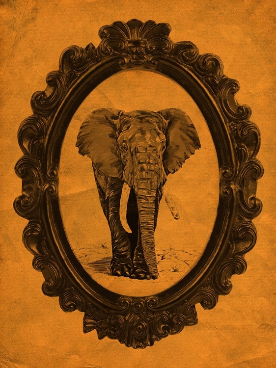 Picture of FRAMED ELEPHANT IN TANGERINE