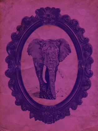 Picture of FRAMED ELEPHANT IN VIOLET