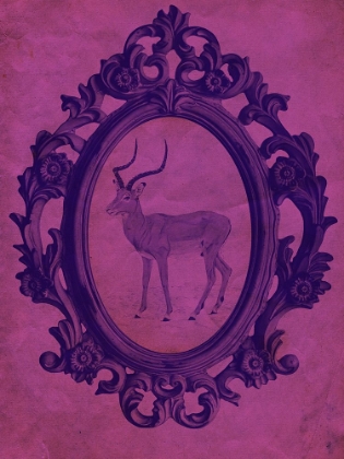 Picture of FRAMED GAZELLE IN VIOLET