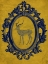 Picture of FRAMED GAZELLE IN YELLOW