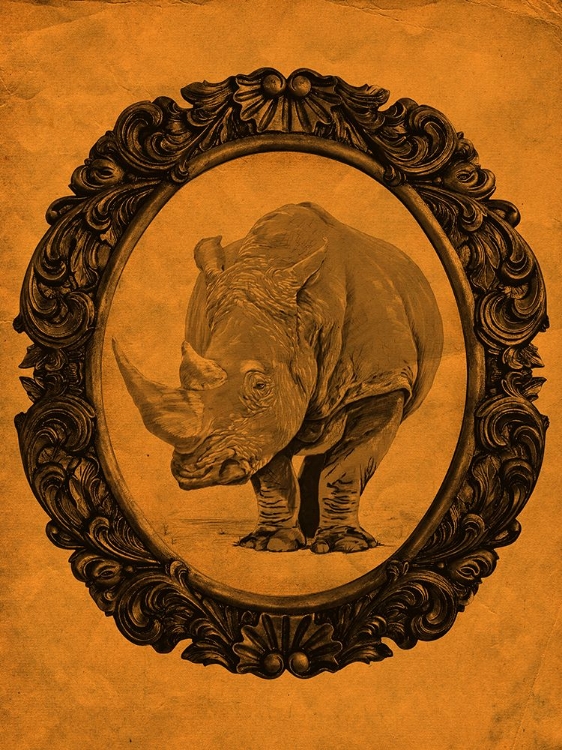 Picture of FRAMED RHINOCEROS IN TANGERINE