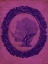 Picture of FRAMED RHINOCEROS IN VIOLET