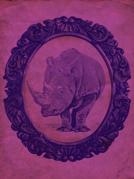 Picture of FRAMED RHINOCEROS IN VIOLET