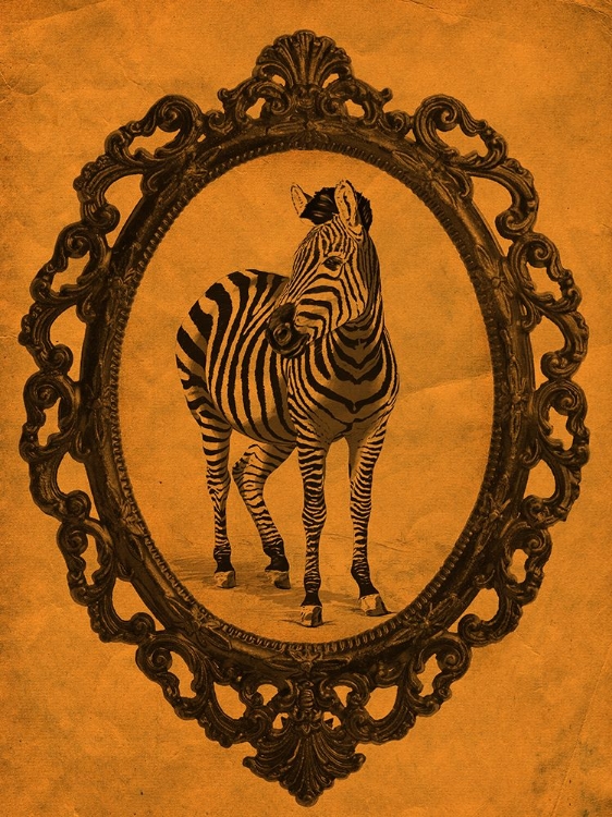 Picture of FRAMED ZEBRA IN TANGERINE