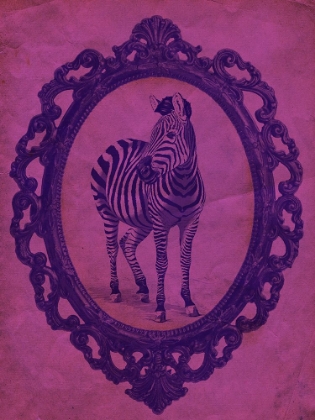 Picture of FRAMED ZEBRA IN VIOLET