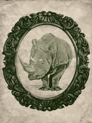 Picture of FRAMED RHINOCEROS IN EVERGREEN