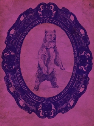 Picture of FRAMED GRIZZLY BEAR IN VIOLET