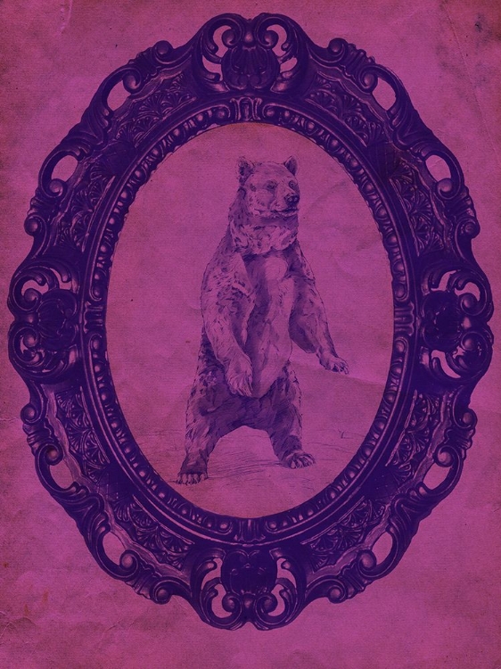 Picture of FRAMED GRIZZLY BEAR IN VIOLET