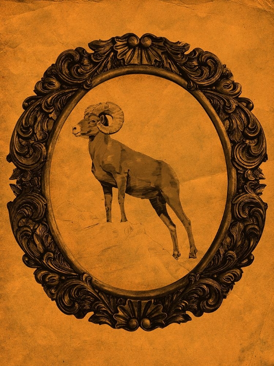 Picture of FRAMED BIGHORN SHEEP IN TANGERINE