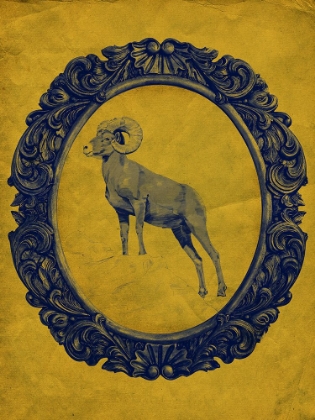Picture of FRAMED BIGHORN SHEEP IN YELLOW