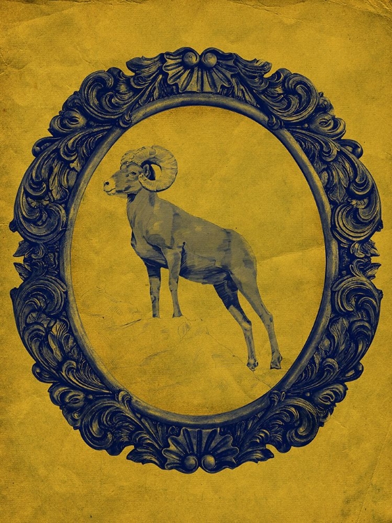 Picture of FRAMED BIGHORN SHEEP IN YELLOW